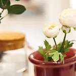 Ambiance Douce Et Elegante A Liberation Ницца