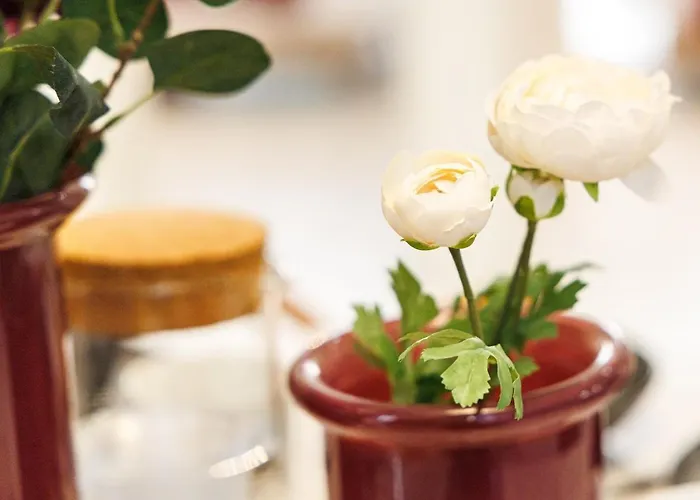 Ambiance Douce Et Elegante A Liberation Ницца